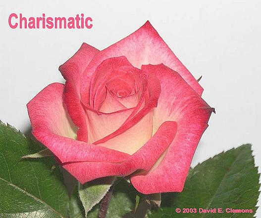 Charismatic